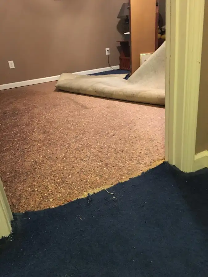 Carpet pad removal revealing water damage during Drying & Dehumidification in Beachwood